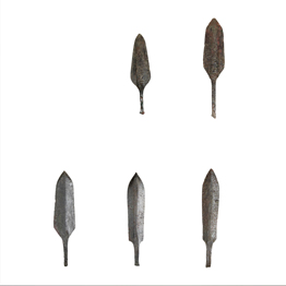 رؤوس سهام