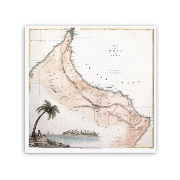 collection image