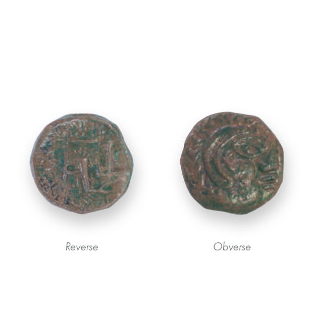 collection image