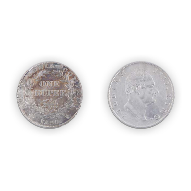 collection image