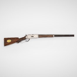 DOUBLE-BARRELLED RIFLE