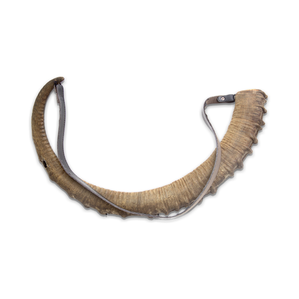 collection image
