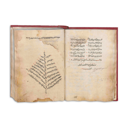 مخطوط (ديوان المعولي)